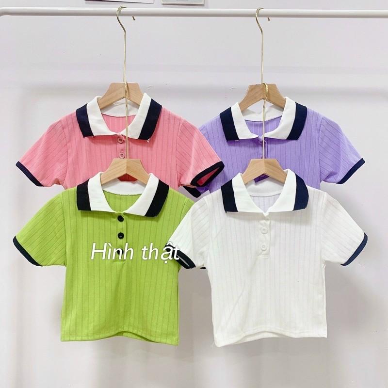 áo polo croptop thun gân mịn siêu hot