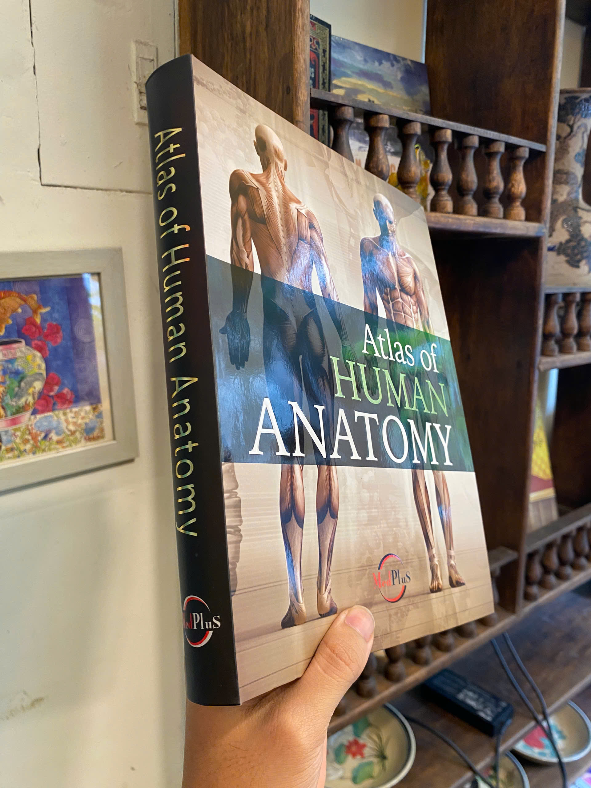 Sách - Human Anatomy by Jordi Vigue | Medical Science / Reference Nonfiction / Ngoại văn