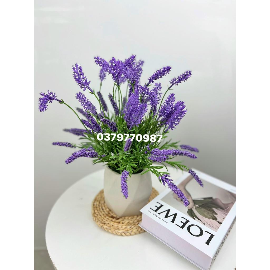 Bình hoa lavender bình thấp-decor nhà xinh