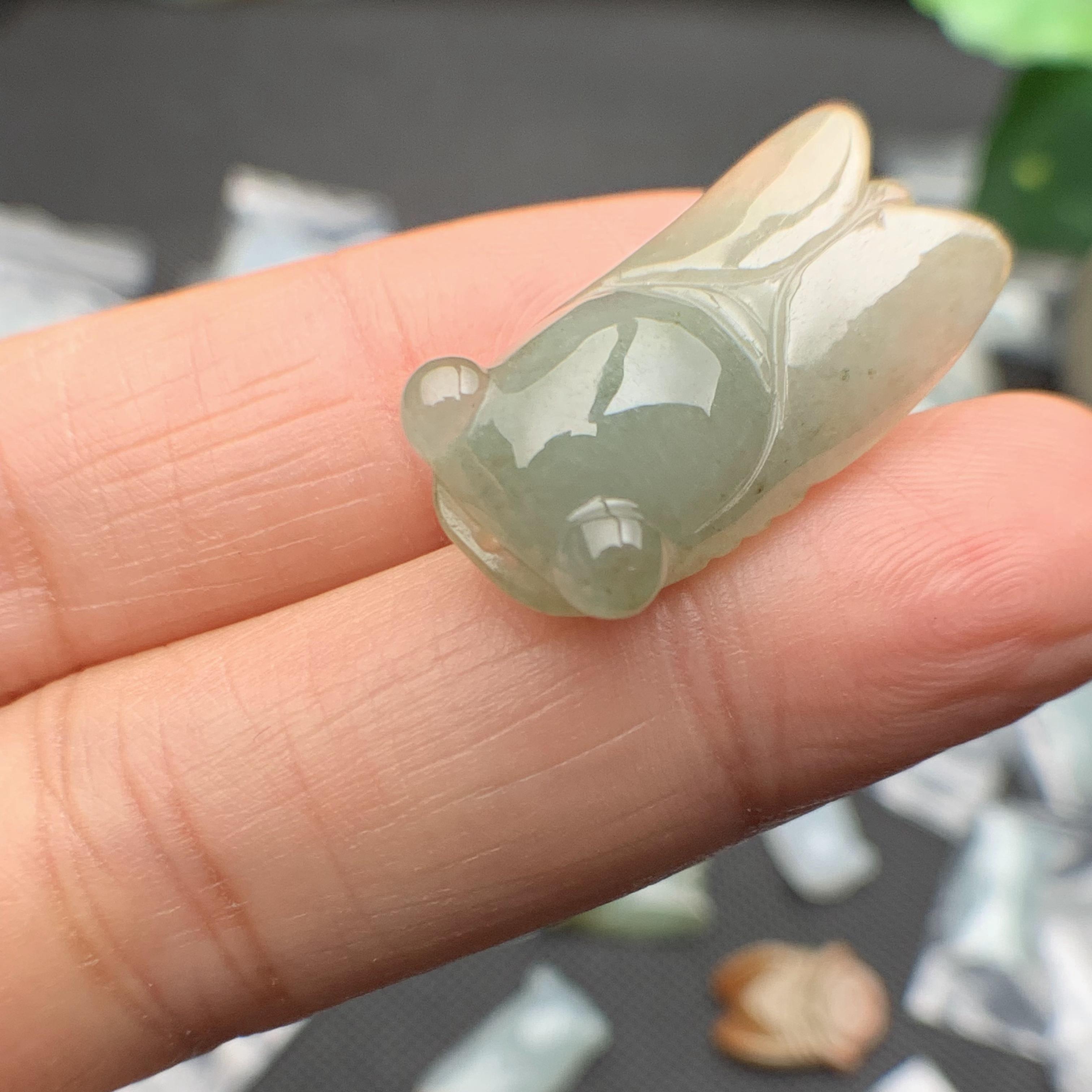 Ve sầu ngọc phỉ thúy tự nhiên Jadeite A