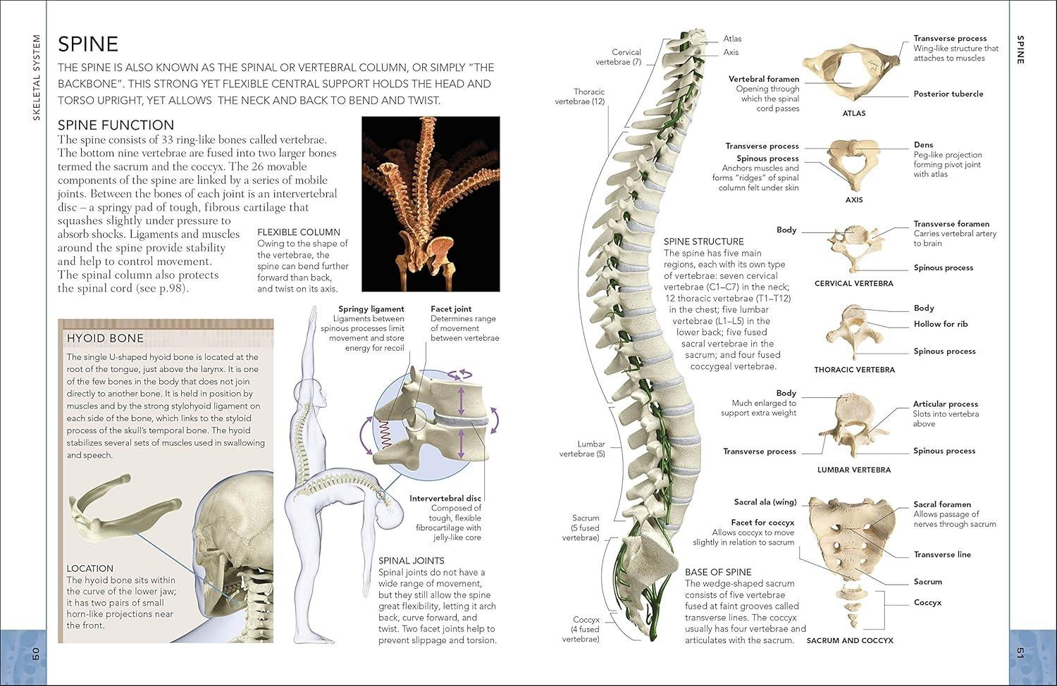 Sách ngoại văn: The Concise Human Body Book