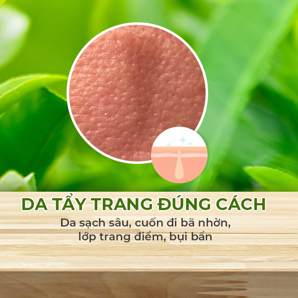 Dầu Tẩy Trang Trà Xanh YHL