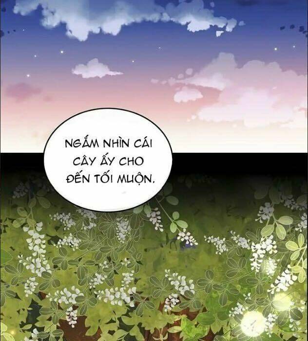 wendy , cô gái bán hoa chapter 27 31