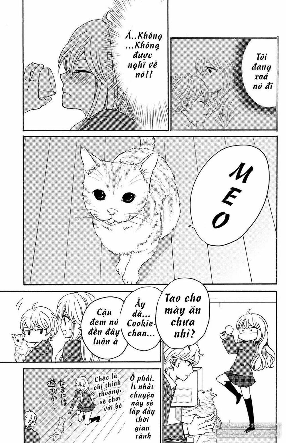 lion to hanayome chapter 12 6