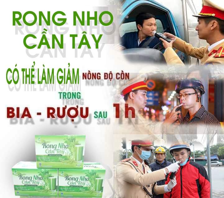 RONG NHO CẦN TÂY OGARNIC - DIỆP LỤC /TẢO XOẮN