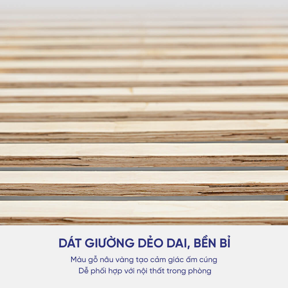 Giường gỗ Tần Bì Amando Hestia nhập khẩu châu Âu, chất lượng bền bỉ, khả năng chống cong vênh và mối mọt tốt