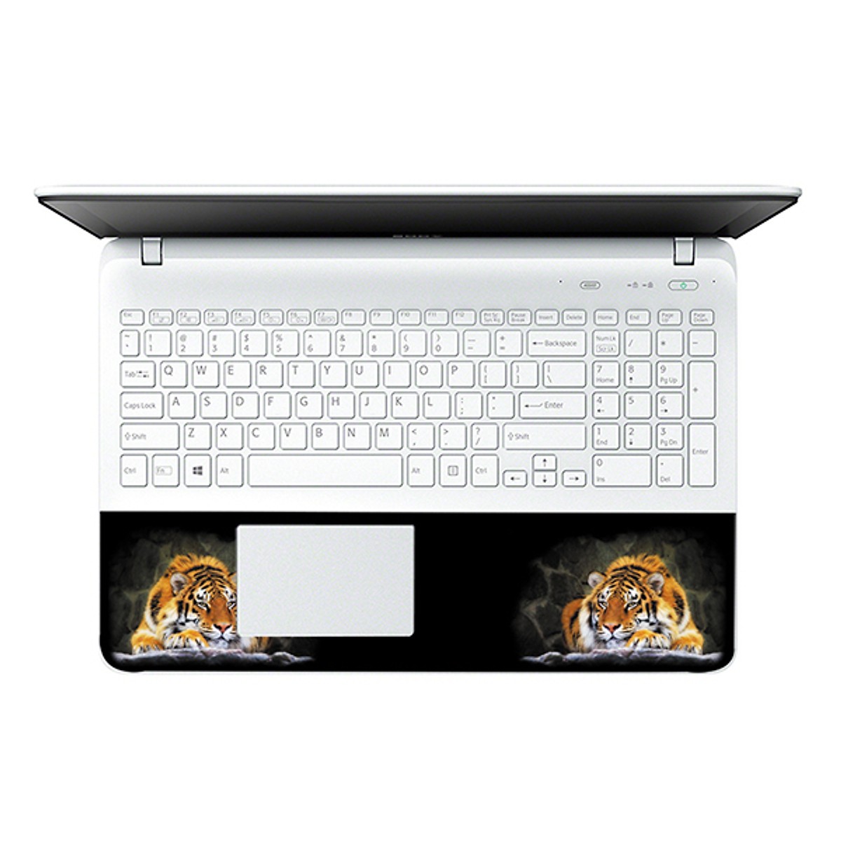 Mẫu Dán Decal Laptop Nghệ Thuật LTNT-359 cỡ 13 inch