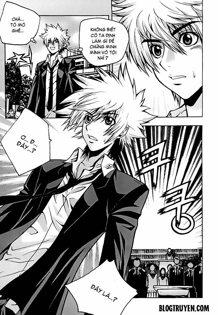 zippy ziggy chapter 50 10