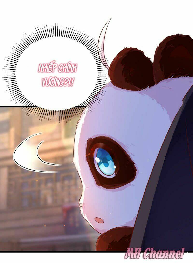 thiên thần gấu trúc muốn được ôm chapter 7 10