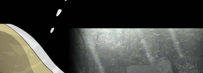 kĩ nguyên của anh hùng chapter 70.5 64