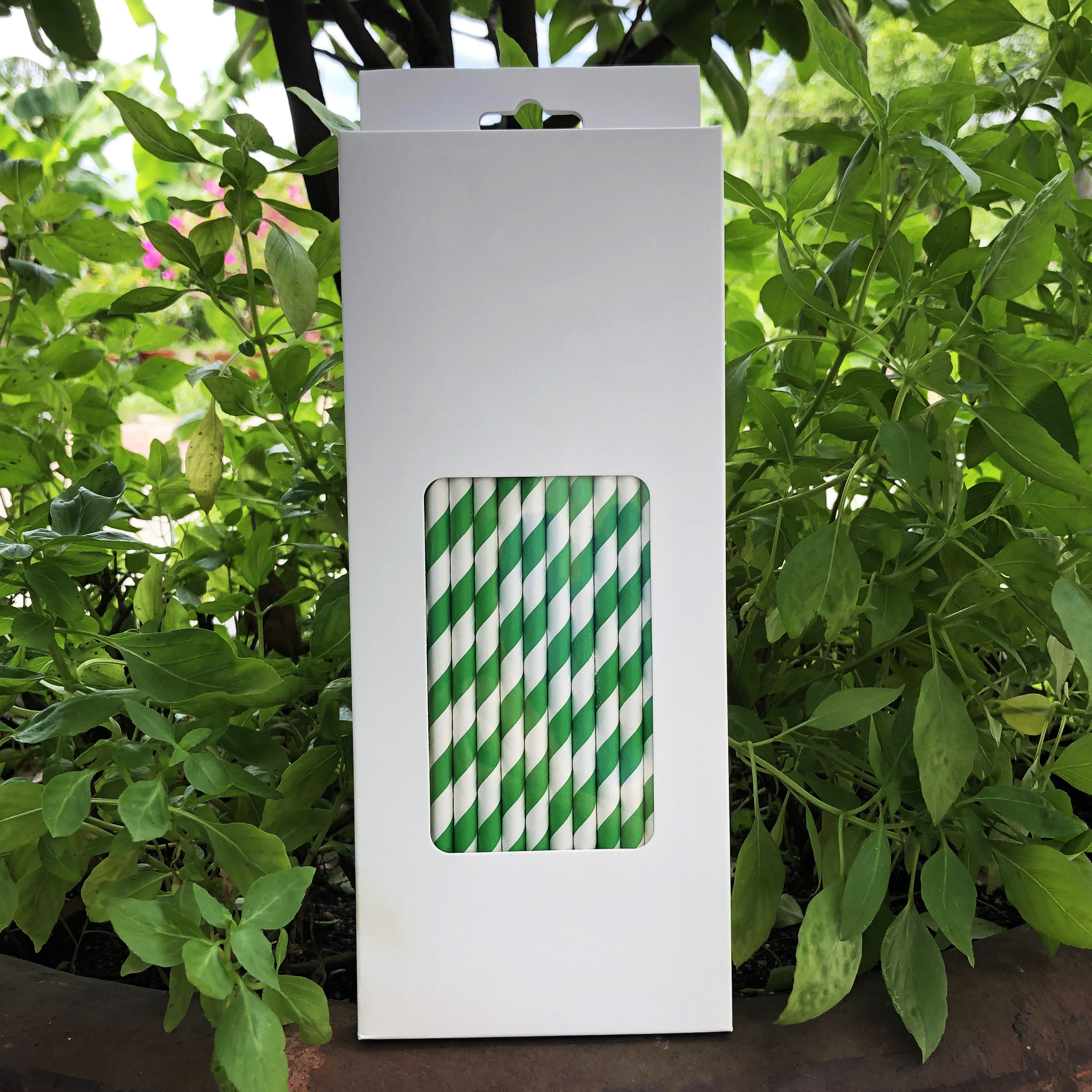 Hộp 100 ống hút giấy kích thước 197x6mm màu trắng xanh lá thân thiện môi trường dùng cho mọi loại nước