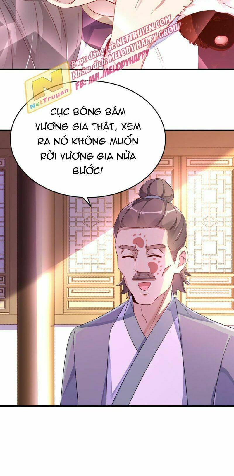 thiên thần gấu trúc muốn được ôm chapter 39 13