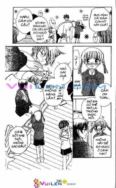 giỏ trái cây - fruit basket chapter 4 36