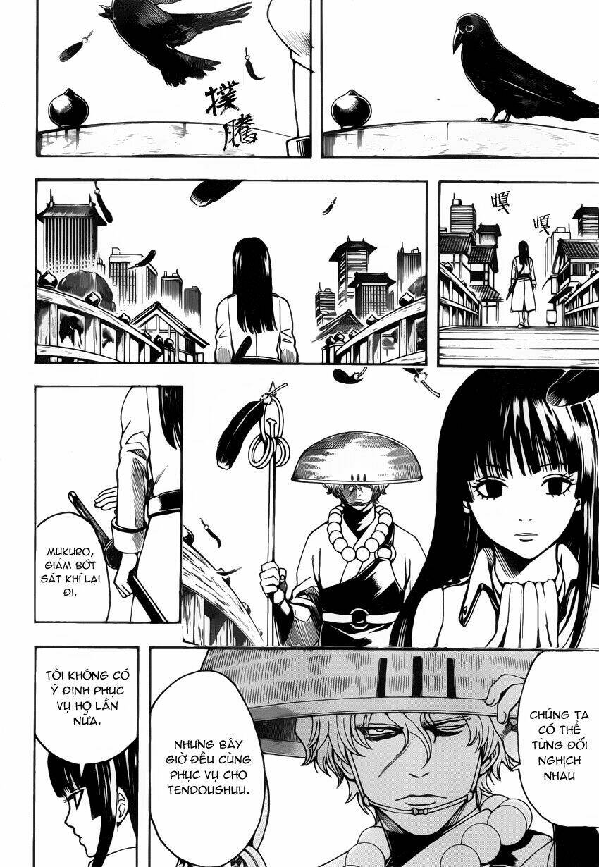 gintama - linh hồn bạc chapter 530 15