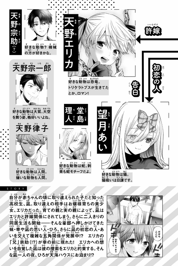 A Couple Of Cuckoos 17 (Japanese Edition)
