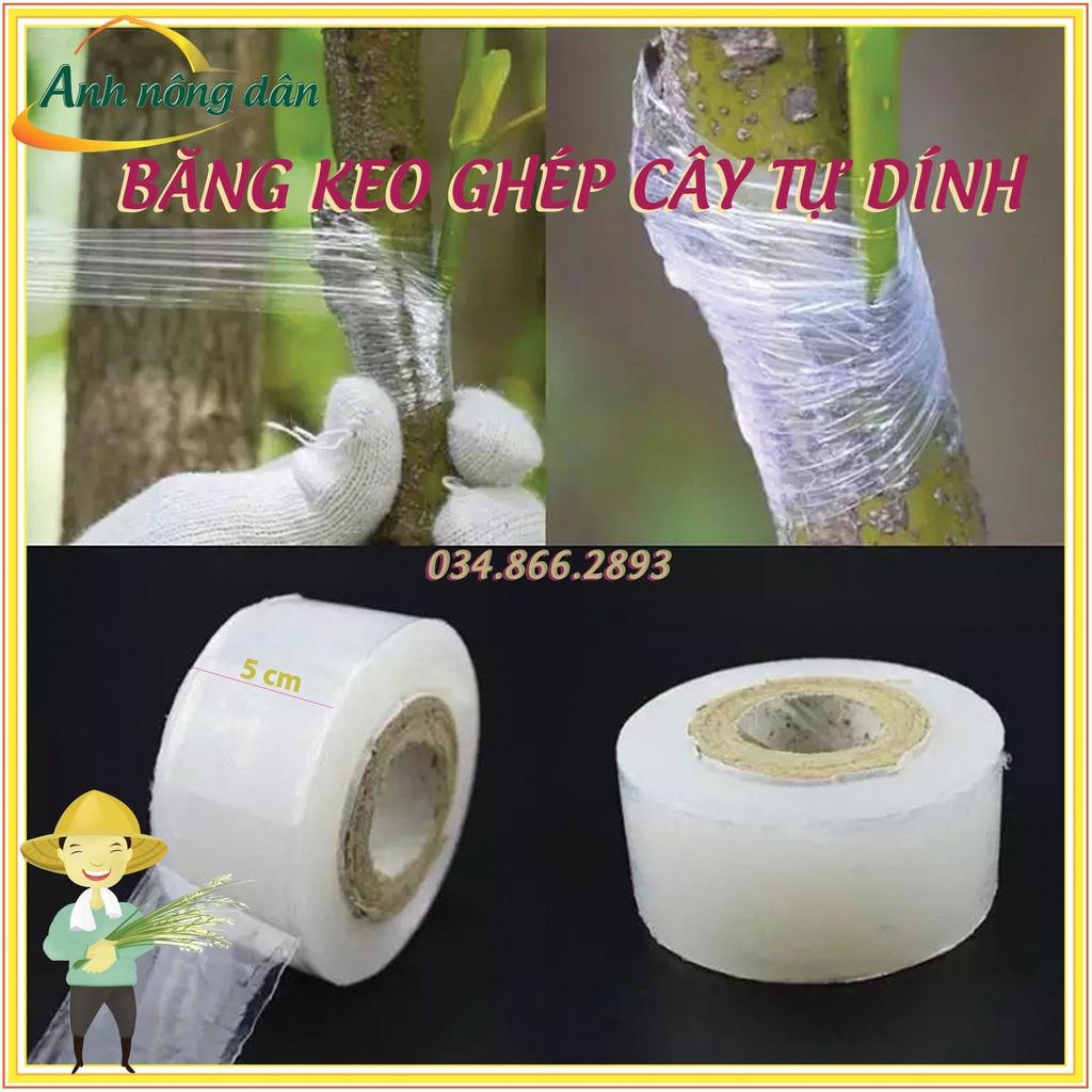 Băng dính ghép cây tự hủy - khổ 5 cm - dùng cho ghép cành, ghép tán, tạo dáng cây cảnh