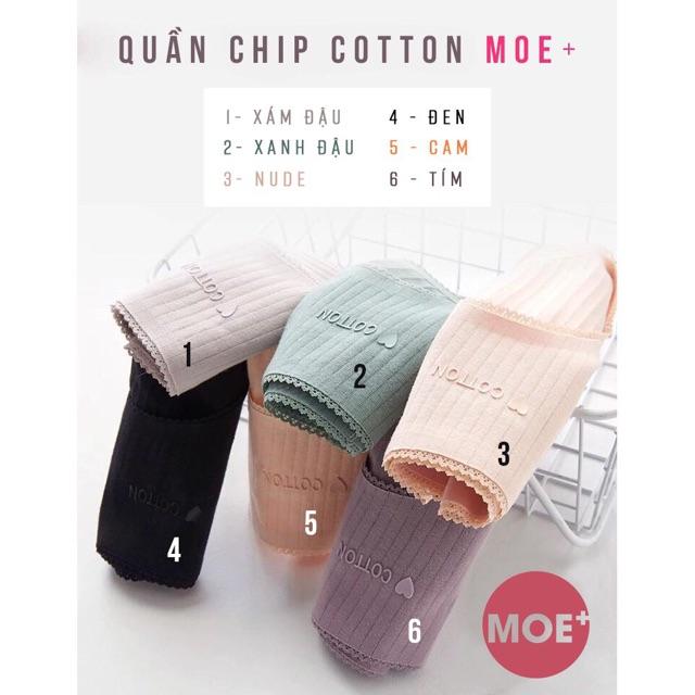 Quần lót cotton sọc đẹp