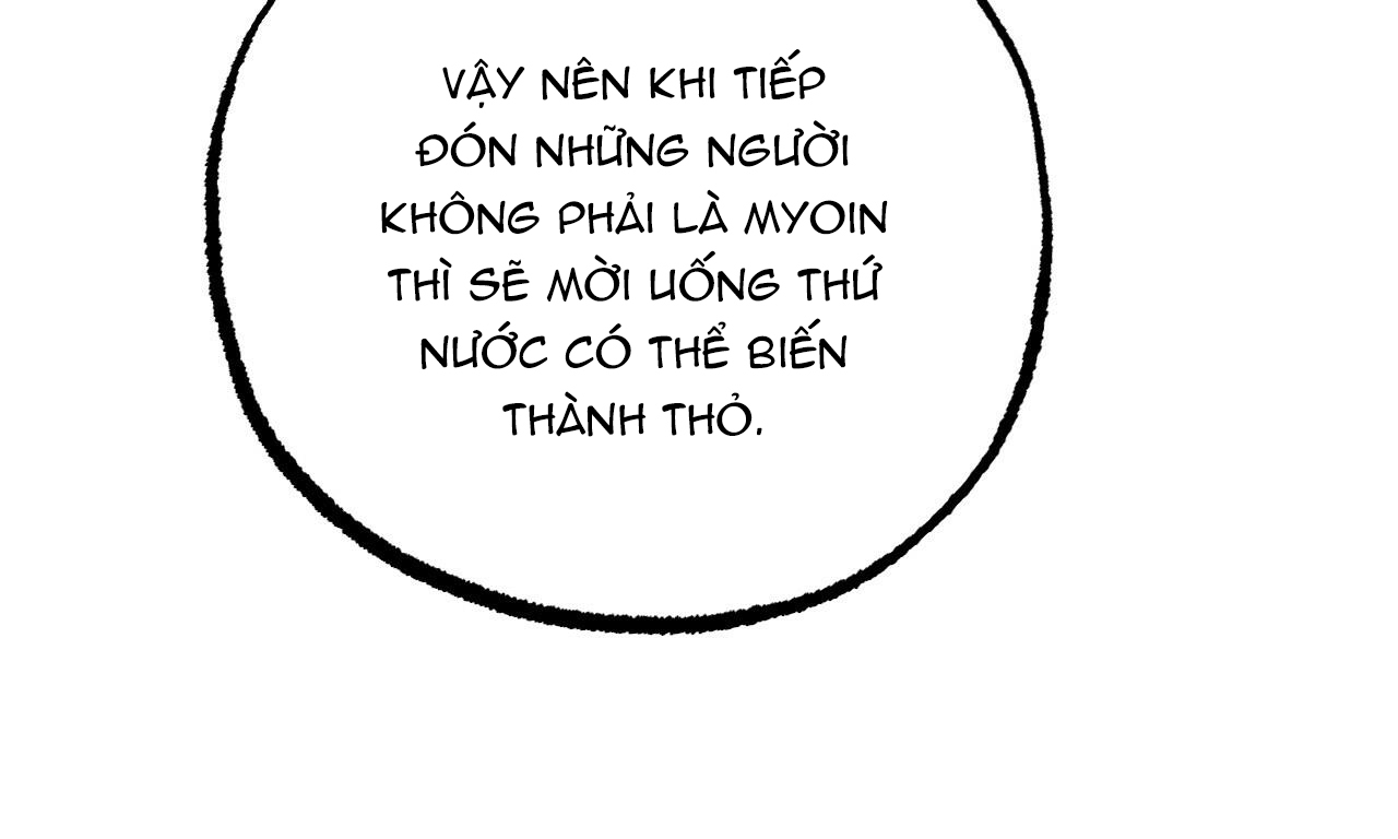 đàn thỏ của habibi chapter 48 198