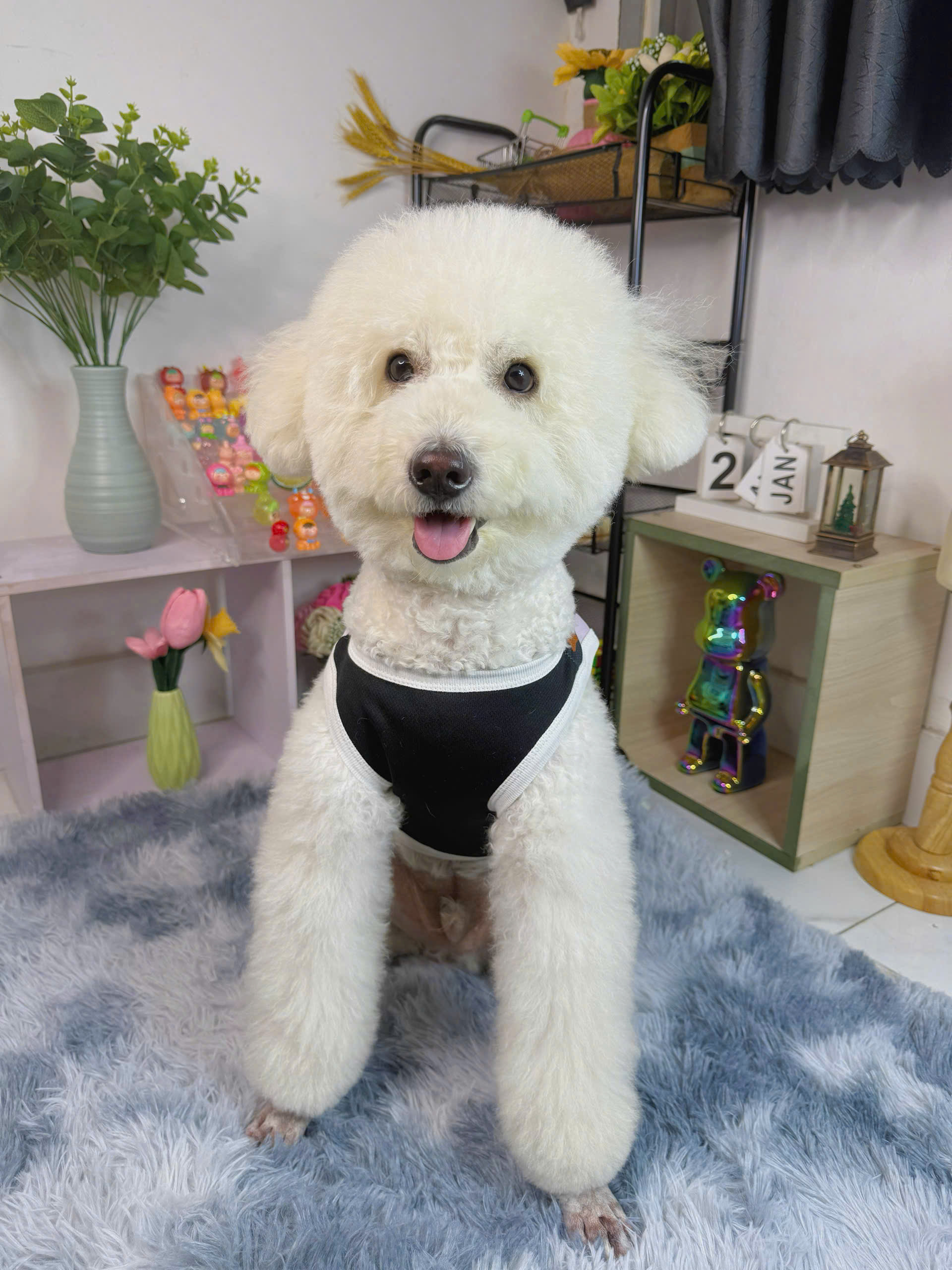 ÁO BA LỖ BÒ SỮA TỪ 0.5-15KG DÀNH CHO THÚ CƯNG CHÓ MÈO