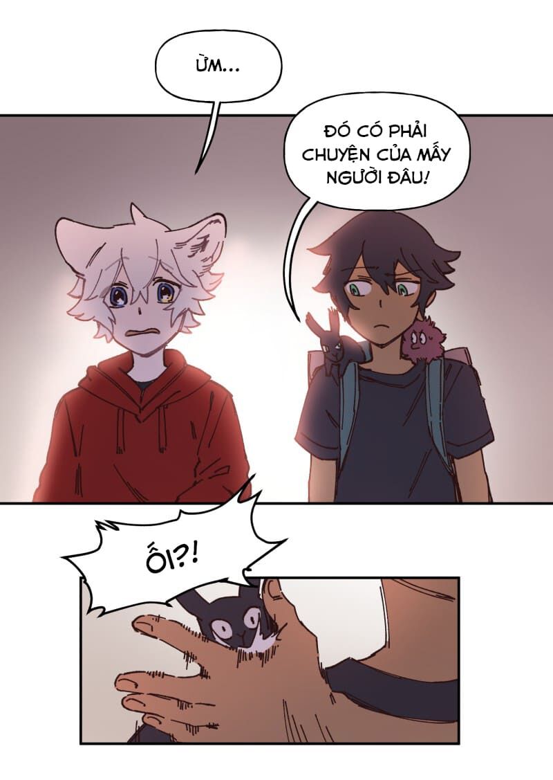 lumine - cội nguồn ánh sáng chapter 121 12