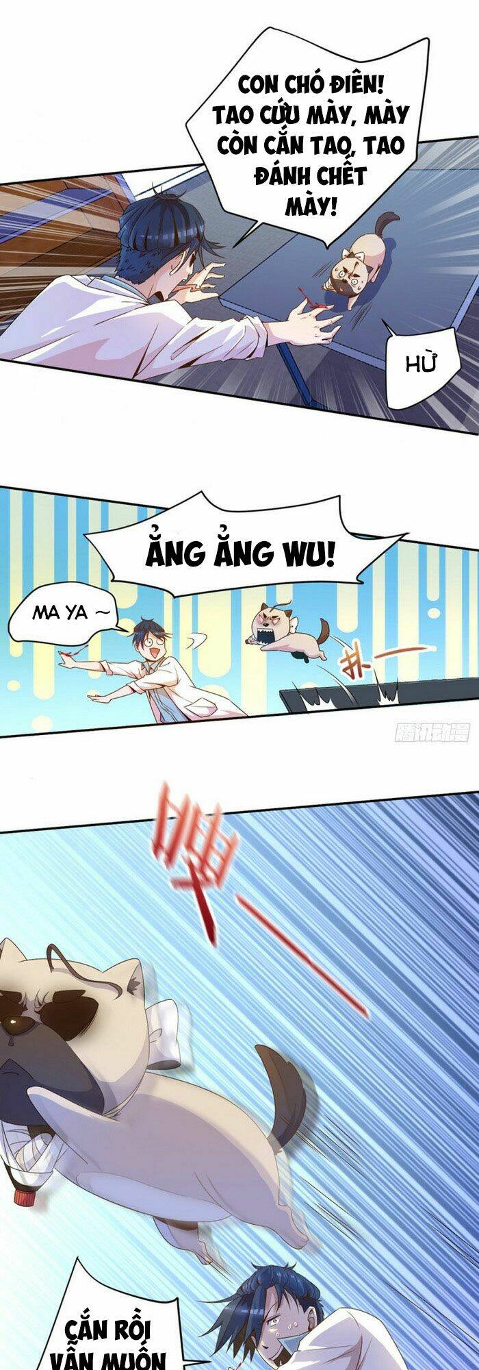 mở phòng khám tại tu tiên giới chapter 2 8