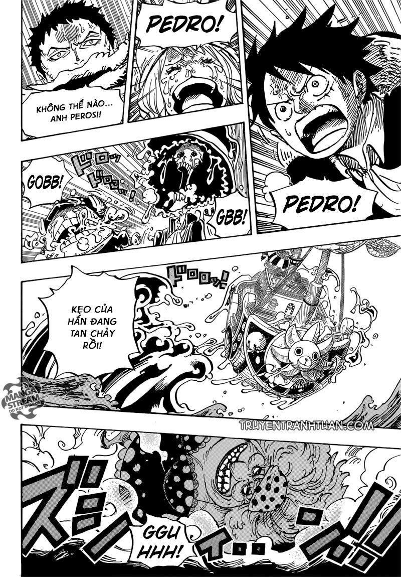 đảo hải tặc - one piece chapter 878 5