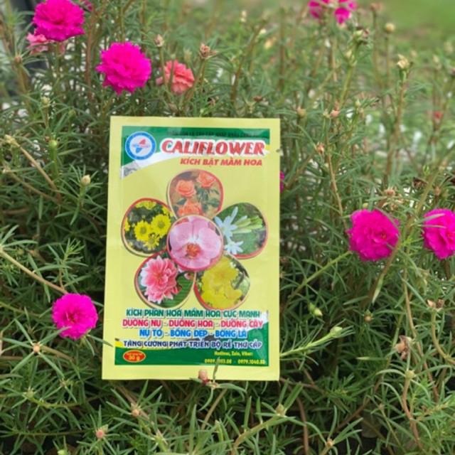 Phân bón kích bật mầm hoa Califlower Chuyên dùng cây cảnh