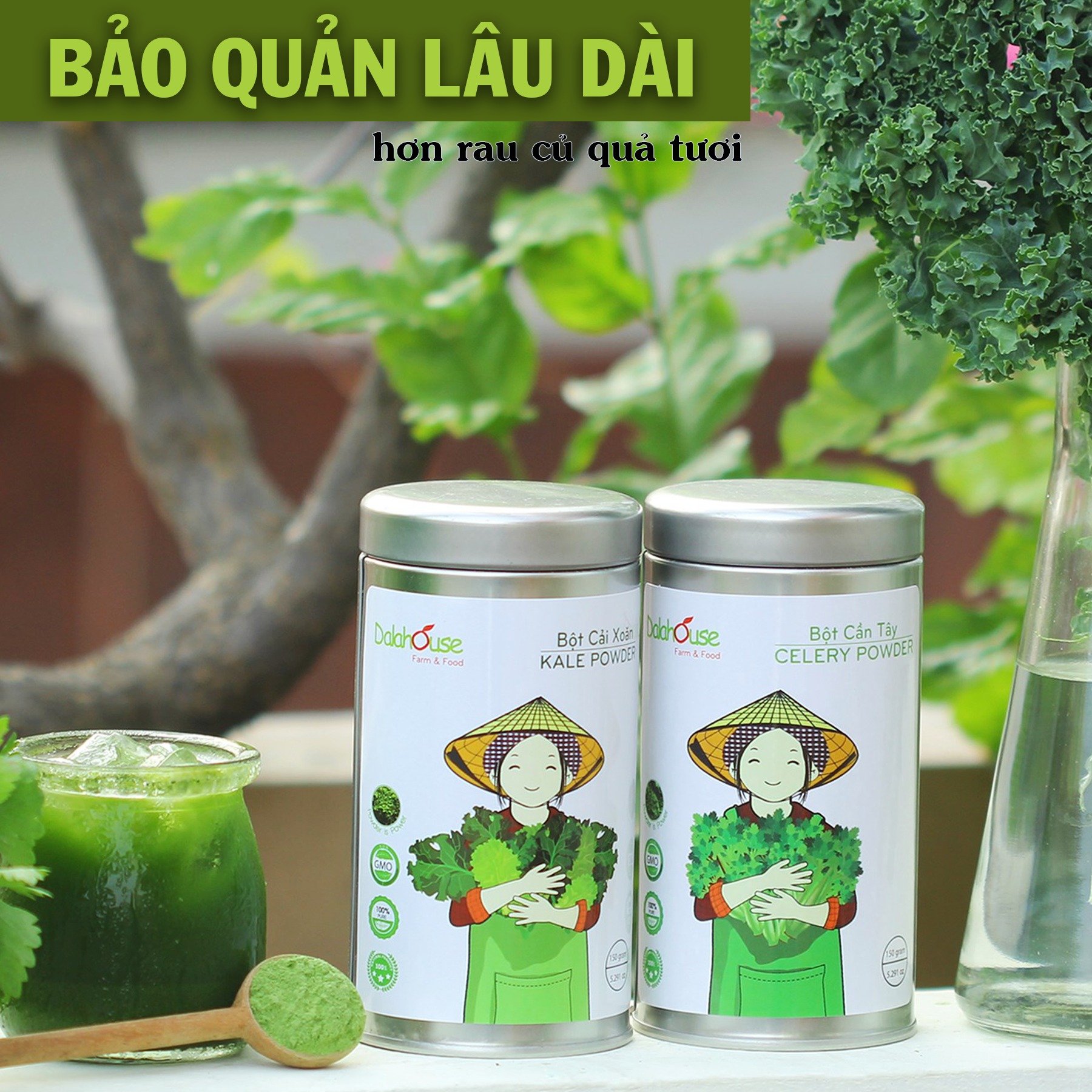 Bột cần tây nguyên chất sấy lạnh Dalahouse 50g - Giúp giảm cân - Thanh lọc cơ thể