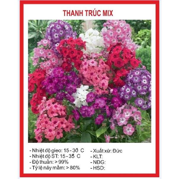 Hạt Giống Hoa Thanh Trúc Nhiều Màu CT462 - Gói 50 hạt