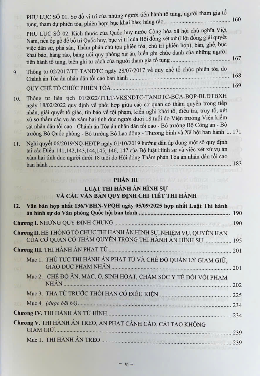 Luật Tư Pháp Người Chưa Thành Niên ( Sửa Đổi, Bổ Sung Năm 2025)
