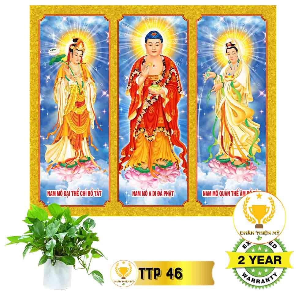 Tranh điện Tam Thế Phật_TTP5