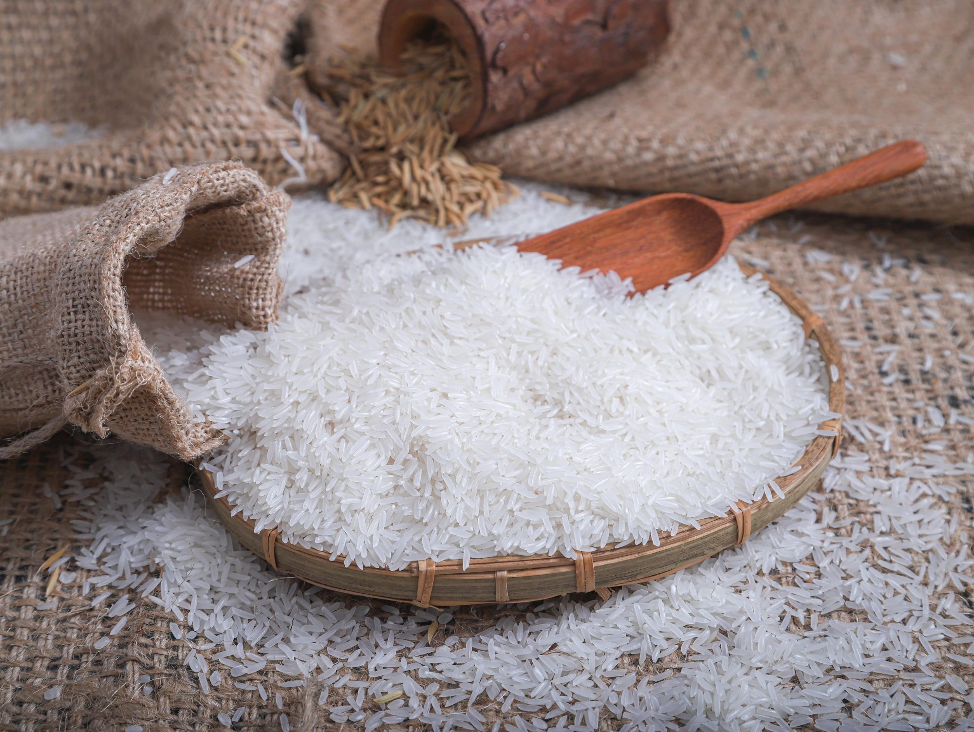Gạo ST24 - Túi 5 kg - Dẻo, thơm, mềm cơm