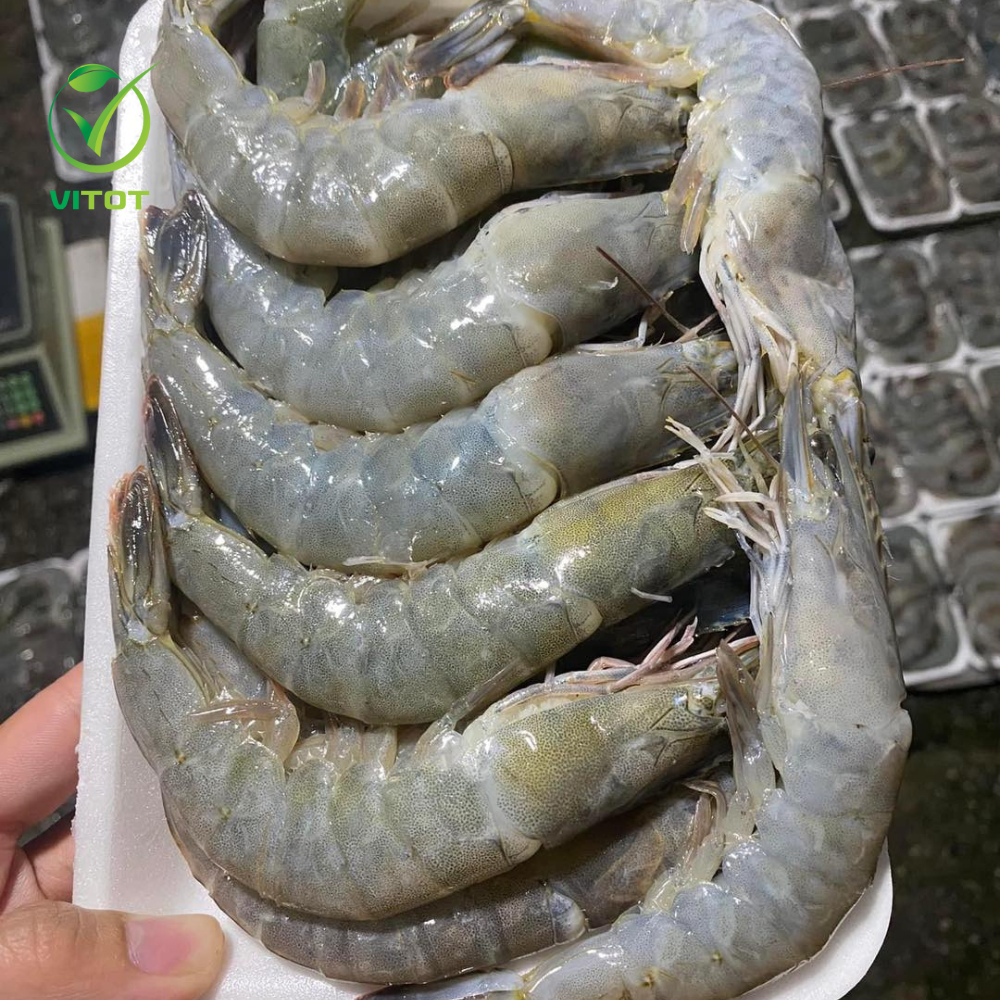 - TÔM LỘT TỰ NHIÊN VITOT FOOOD