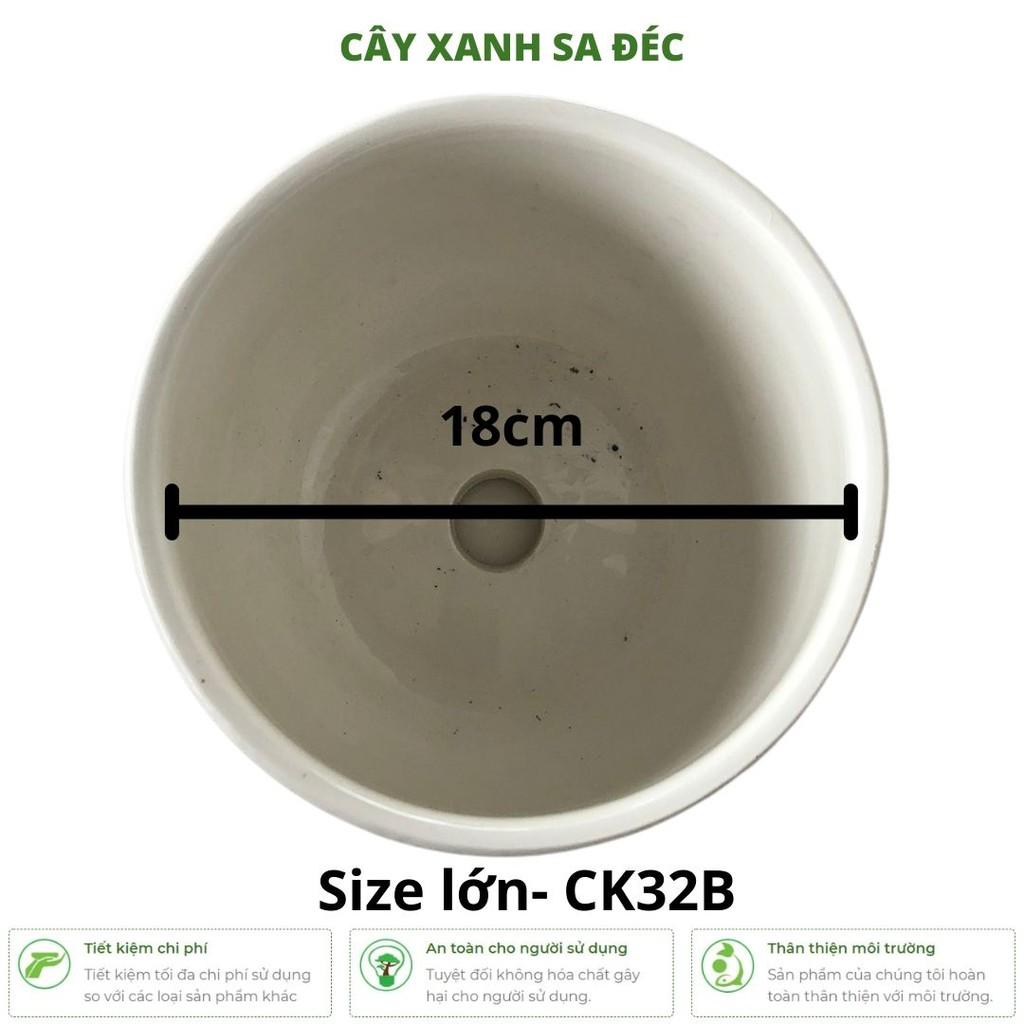 Bộ chậu men Hoa Đào Đỏ CK32 trồng cây cảnh trang trí nhà cửa, ban công, văn phòng, phòng ngủ, góc học tập