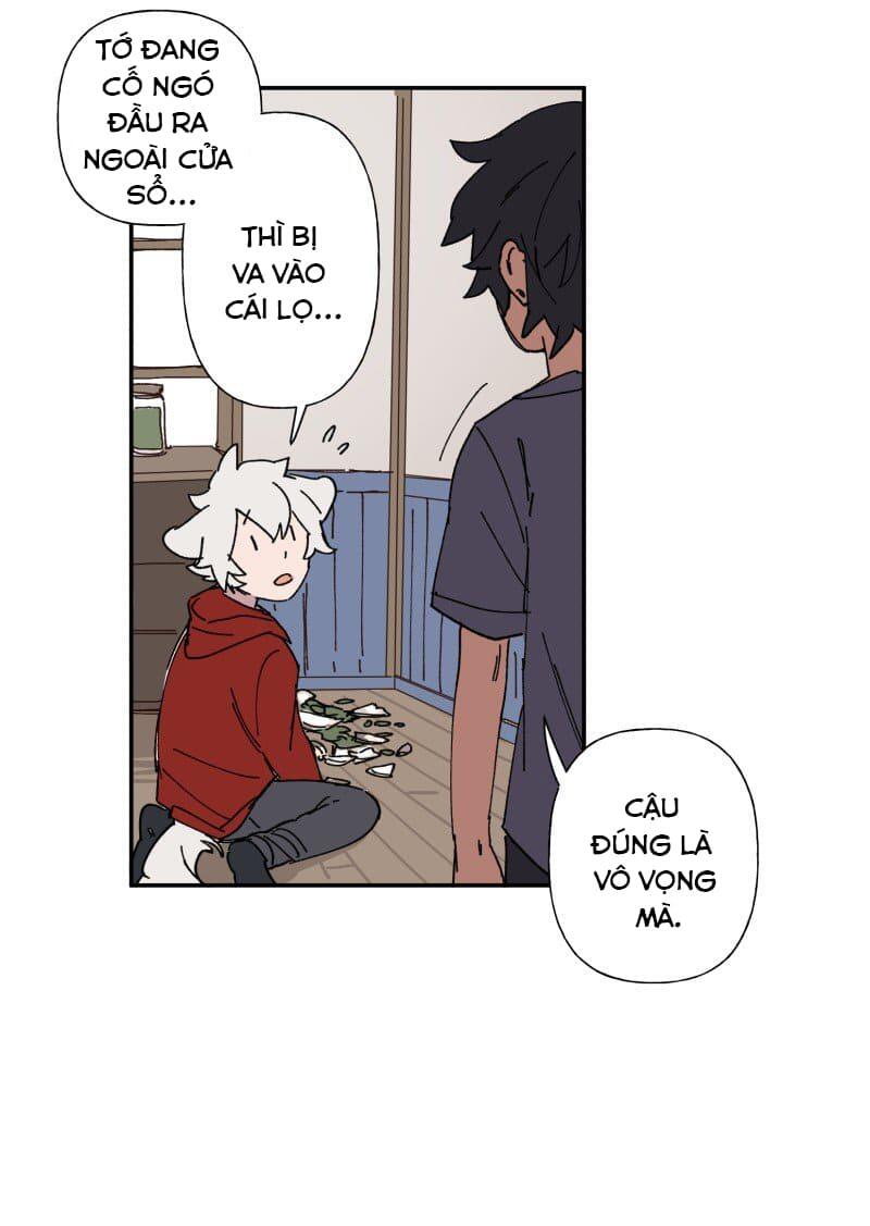 lumine - cội nguồn ánh sáng chapter 86 11