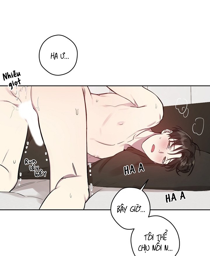 thần tượng đến rồi!? chapter 15 8