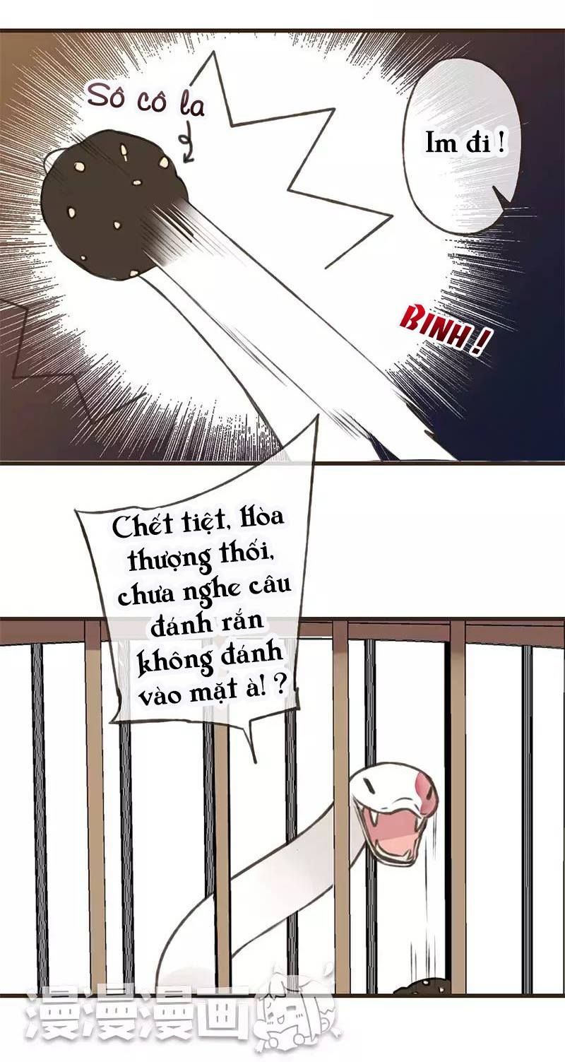 trên trời rớt xuống một hòa thượng ngốc chapter 40 2