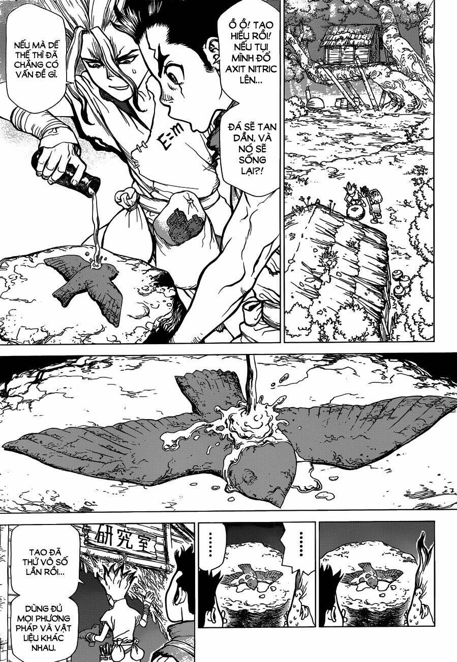 dr.stone - hồi sinh thế giới chapter 2 11