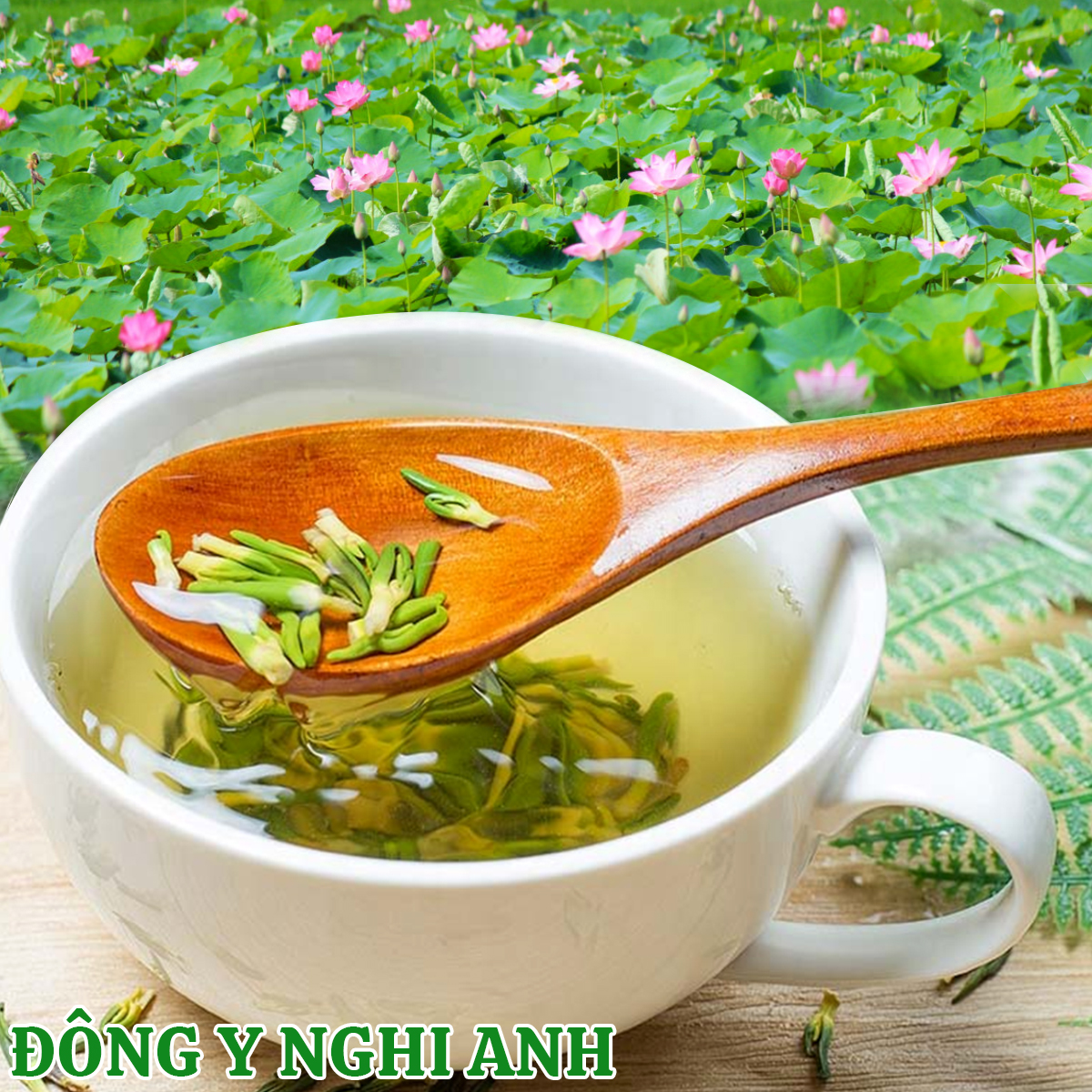 Hạt sen khô Đông Y Nghi Anh hộp 500gr bồi bổ sức khỏe an thần tăng sức đề kháng cơ thể