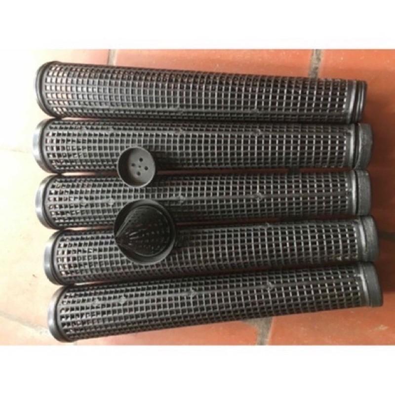 Trúm bắt lươn