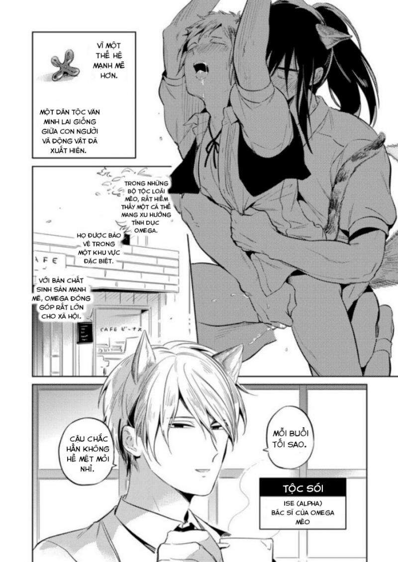 dục vọng omega chapter 4 6