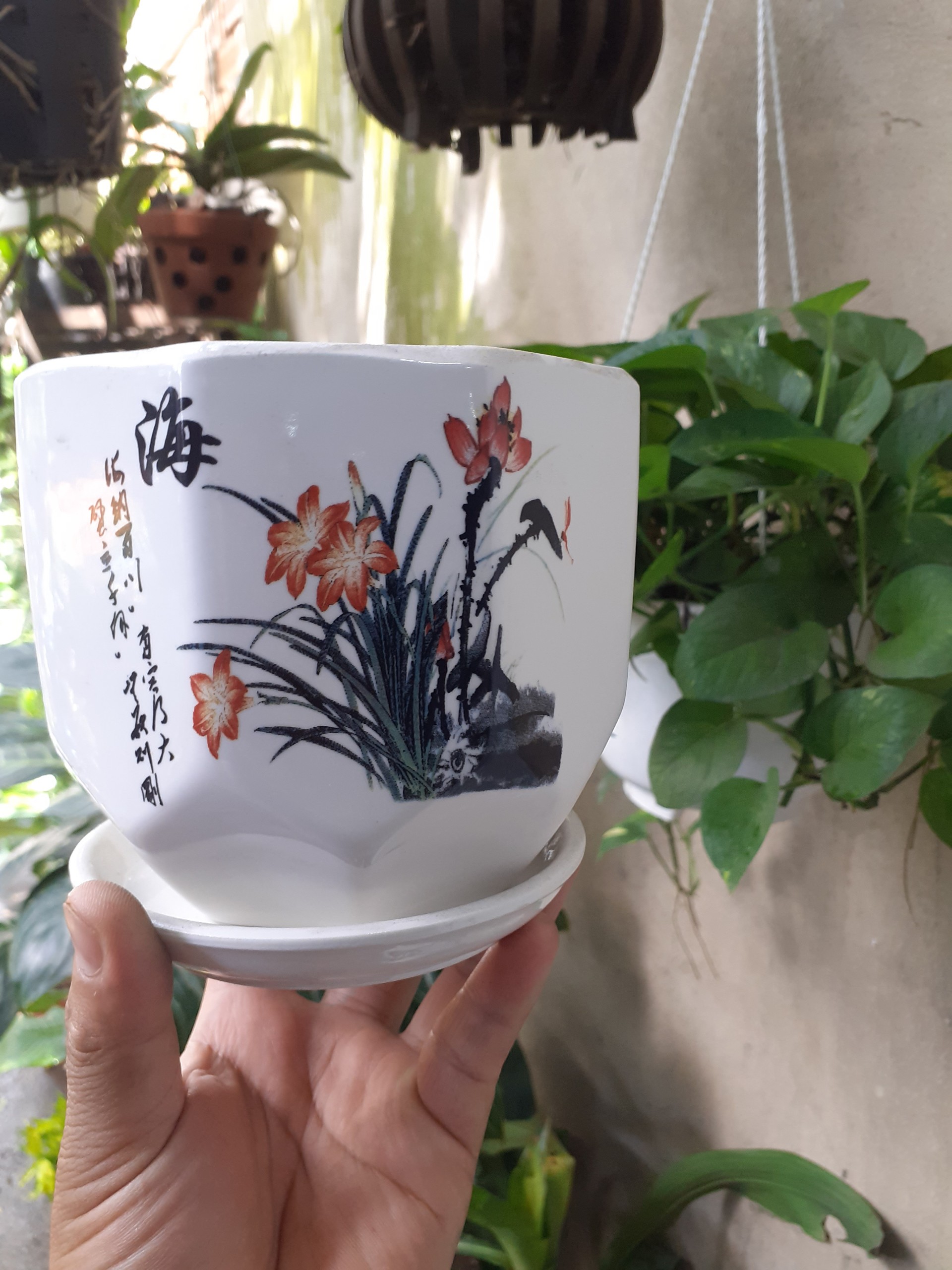Chậu kèm dĩa BÁT GIÁC hoa