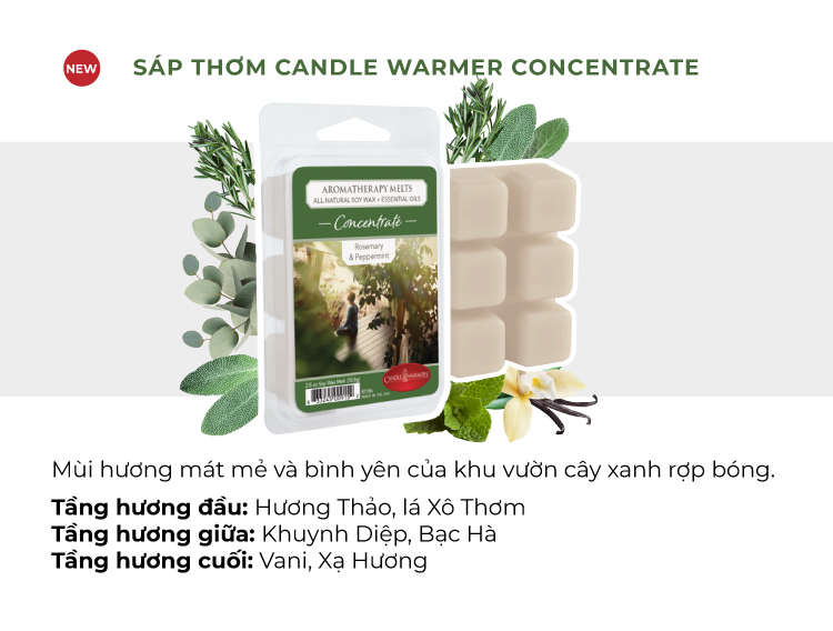 Sáp thơm Candle Warmer - Concentrate