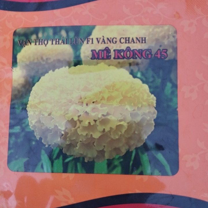 Hạt giống Vạn thọ thái lùn Rồng Vàng MK45 gói 1 gram