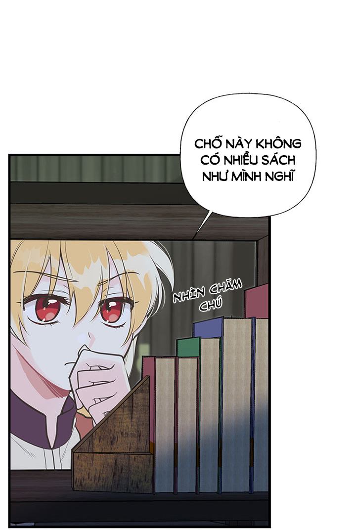 chị tôi đã nhặt về một nam chính quyến rũ chapter 10 12