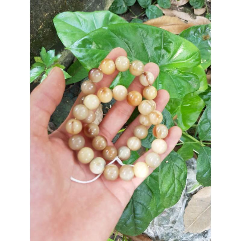 Vòng tay nữ hạt tròn 10 li bằng sừng trắng gạo