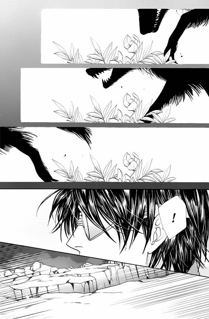 kim cương bạc chapter 19 17