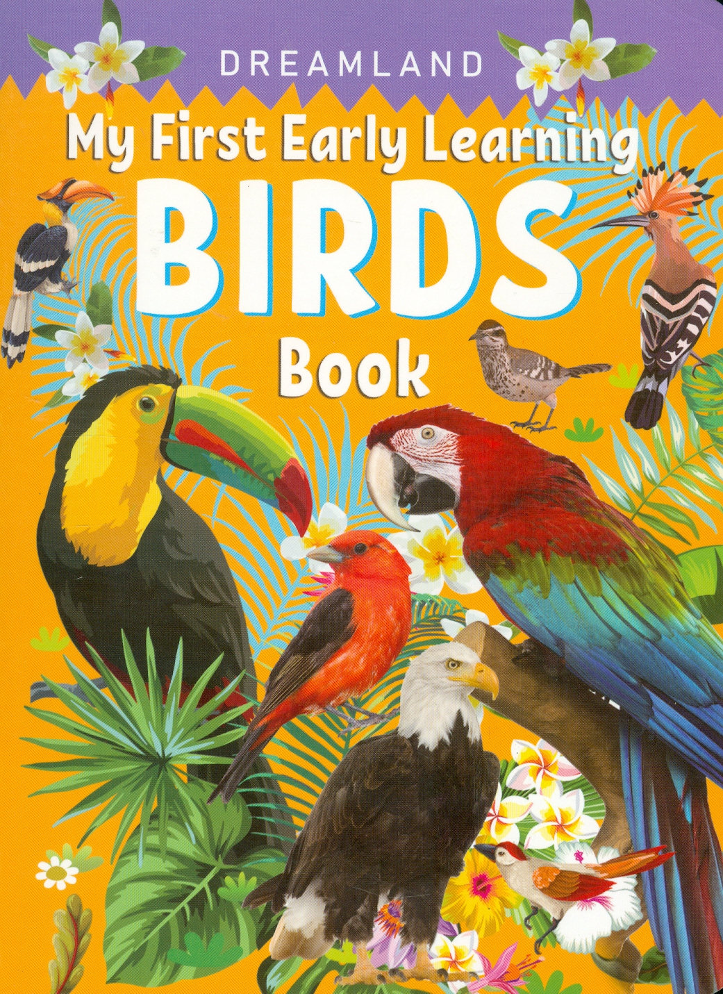 My First Early Learning - Birds Book (Bài học đầu tiên của tôi - Sách về các loài chim)