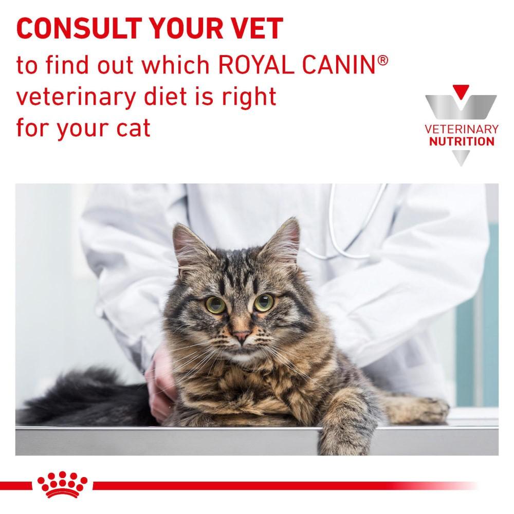 Thức ăn hạt Royal Canin Urinary S/O Feline cho mèo bị sỏi thận