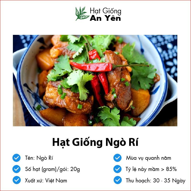 Hạt giống Ngò Rí thu hoạch sớm, dễ trồng, nảy mầm cao, sinh trưởng khoẻ